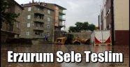 Erzurum Sele Teslim