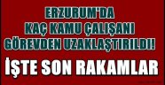 Erzurum'da Kaç Kamu Çalışanı Görevden Uzaklaştırıldı?