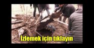 Define avcılarının kazdığı yerden 2 bin yıllık anıt mezar çıktı