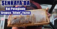 Şenkaya'da Bal Peteğinde Arapça "Allah" Yazısı