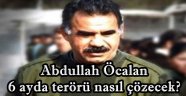 Abdullah Öcalan 6 ayda terörü nasıl çözecek?