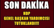HDP Genel Başkan Yardımcısı tutuklandı