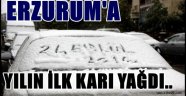 ERZURUM'A YILIN İLK KARI YAĞDI