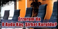 Erzurum'da 8 Ayda Kaç Şirket Kuruldu?