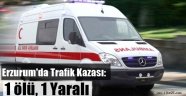 Erzurum'da Trafik Kazası: 1ölü, 1 Yaralı