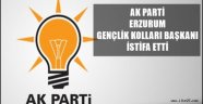 Ak Parti Erzurum Gençlik Kolları Başkanı İstifa Etti