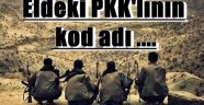 Eldeki PKK'lının kod adı Serhat Karayazı'ymış