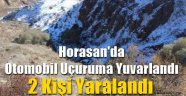 Horasan'da Otomobil Uçuruma Yuvarlandı: 2 Yaralı