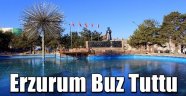 Erzurum Buz Tuttu