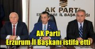 AK Parti Erzurum İl Başkanı istifa etti