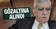 Ahmet Türk Gözaltına Alındı