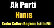 Ak Parti Hınıs Kadın Kolları Başkanı İstifa Etti