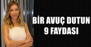 BİR AVUÇ DUTUN 9 FAYDASI