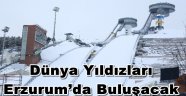 Dünya Yıldızları  Erzurum'da Buluşacak