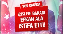 EFGAN ALA İSTİFA ETTİ