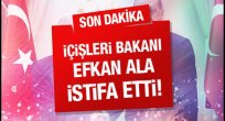 EFGAN ALA İSTİFA ETTİ