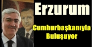 Erzurum Cumhurbaşkanıyla buluşuyor