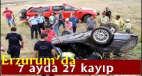  Erzurum'da 7 ayda 27 kayıp