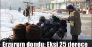 Erzurum dondu: Eksi 25 derece