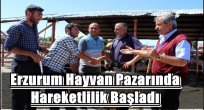 Erzurum Hayvan Pazarında hareketlilik başladı