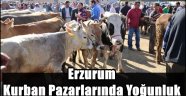 Erzurum Kurban Pazarlarında Yoğunluk