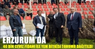 Erzurum'da 40 Bin Ceviz Fidanı ile Yem Bitkisi Tohumu Dağıtıldı