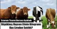 Erzurum'da Büyükbaş Hayvan Eti Kaça Satıldı?