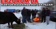 ERZURUM'DA KAMYON KASASINDA HAYVAN PAZARI...