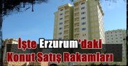  Erzurum'da Konut Satış Rakamları Açıklandı