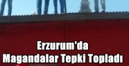 Erzurum'da Magandalar Tepki Topladı