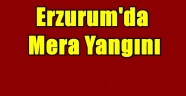 Erzurum'da Mera Yangını