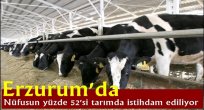 Erzurum'da nüfusun yüzde 52'si tarımda istihdam ediliyor