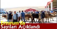 Erzurum'da Sayılar Açıklandı