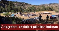 Gökçedere köylüleri piknikte buluştu