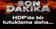 HDP'li Ferhat Encü tutuklandı.