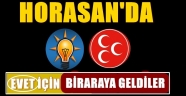 Horasan'da EVET İçin Bir Araya Geldiler