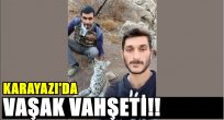 Karayazı'da Vaşak Vahşeti!!