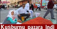 Kuşburnu pazara indi