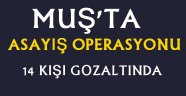 Muş'ta asayiş operasyonu