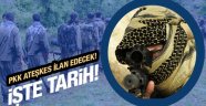 PKK ateşkes ilan etmeye hazırlanıyor!