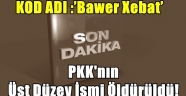 PKK'nın üst düzey ismi öldürüldü!