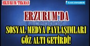 Tekman'da 1 Kişi Gözaltına Alındı!