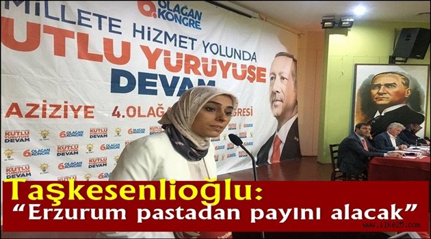 Taşkesenlioğlu: "Erzurum pastadan payını alacak"