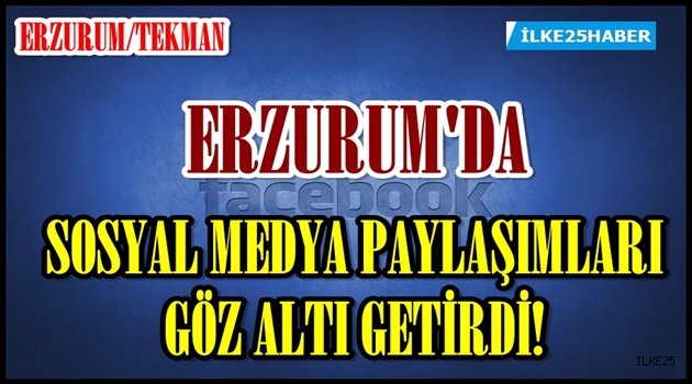 Tekman'da 1 Kişi Gözaltına Alındı!