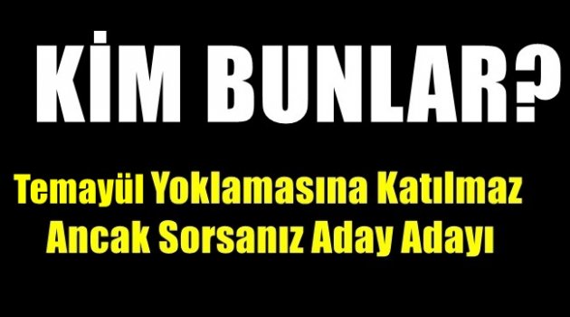 Temayül Yoklamasına Katılmaz ,Ancak Sorsanız Aday Adayı