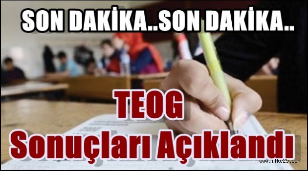 Teog Sonuçları Açıklandı