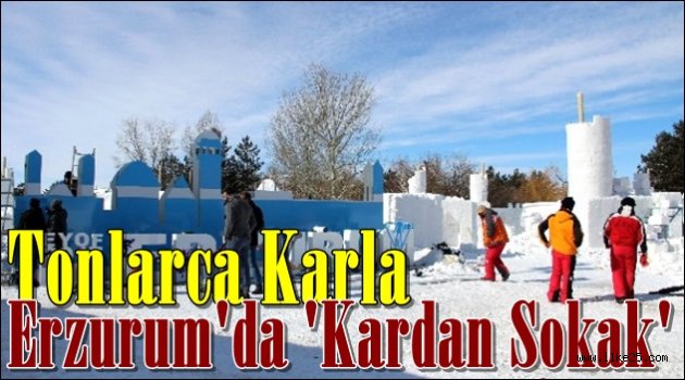 Tonlarca Karla Erzurum'da 'Kardan Sokak'