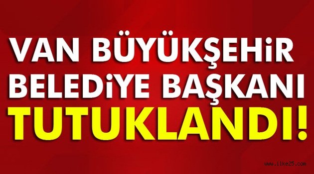 Van Büyükşehir Belediye Başkanı tutuklandı