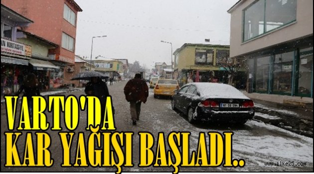 Varto'da Kar Yağışı Başladı