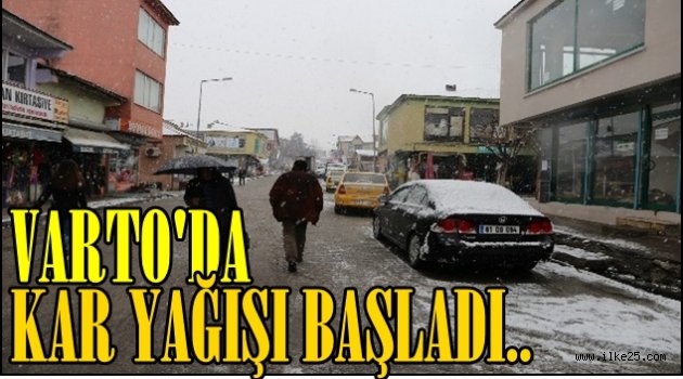 Varto'da Kar Yağışı Başladı